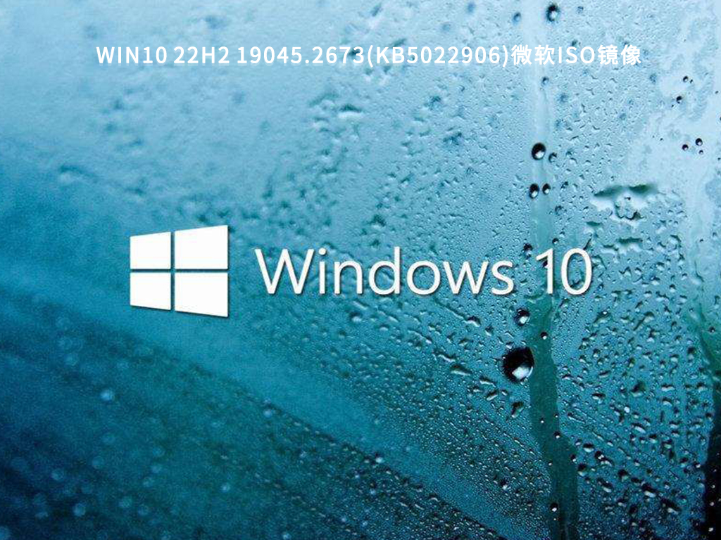 Win10 22H2系统下载2023_微软Win10 19045.2673(KB5022906)iso镜像下载-纯净之家